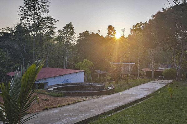 Ayahuasca Ceremony
