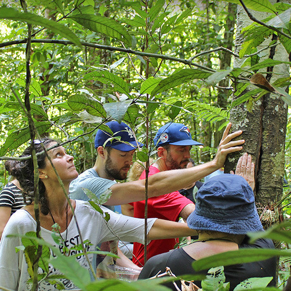Ayahuasca Vancouver Island
