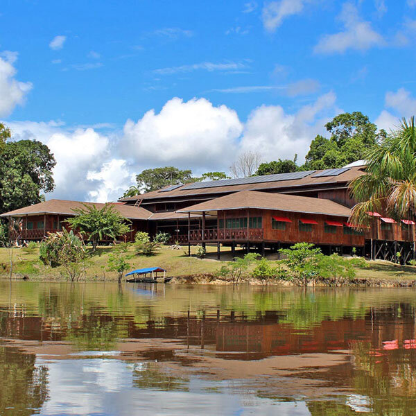 Ayahuasca
