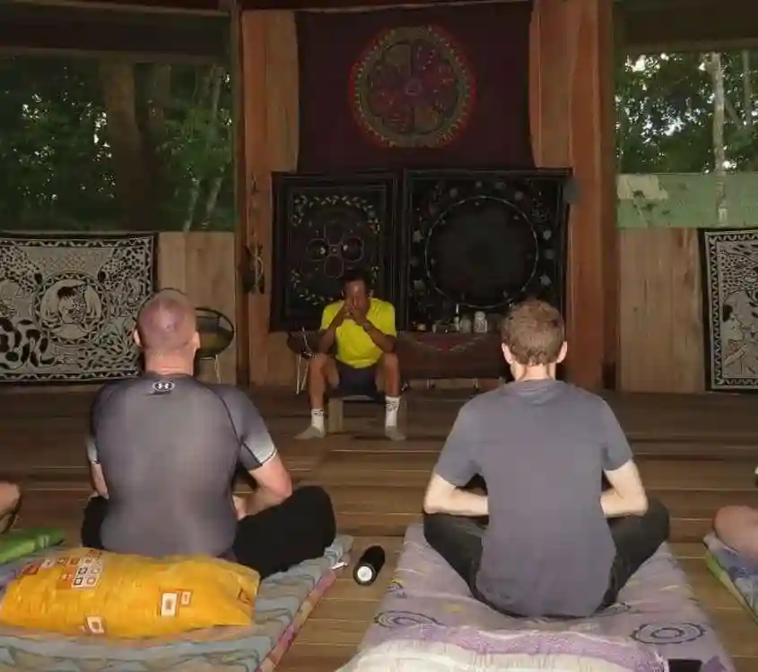 ayahuasca